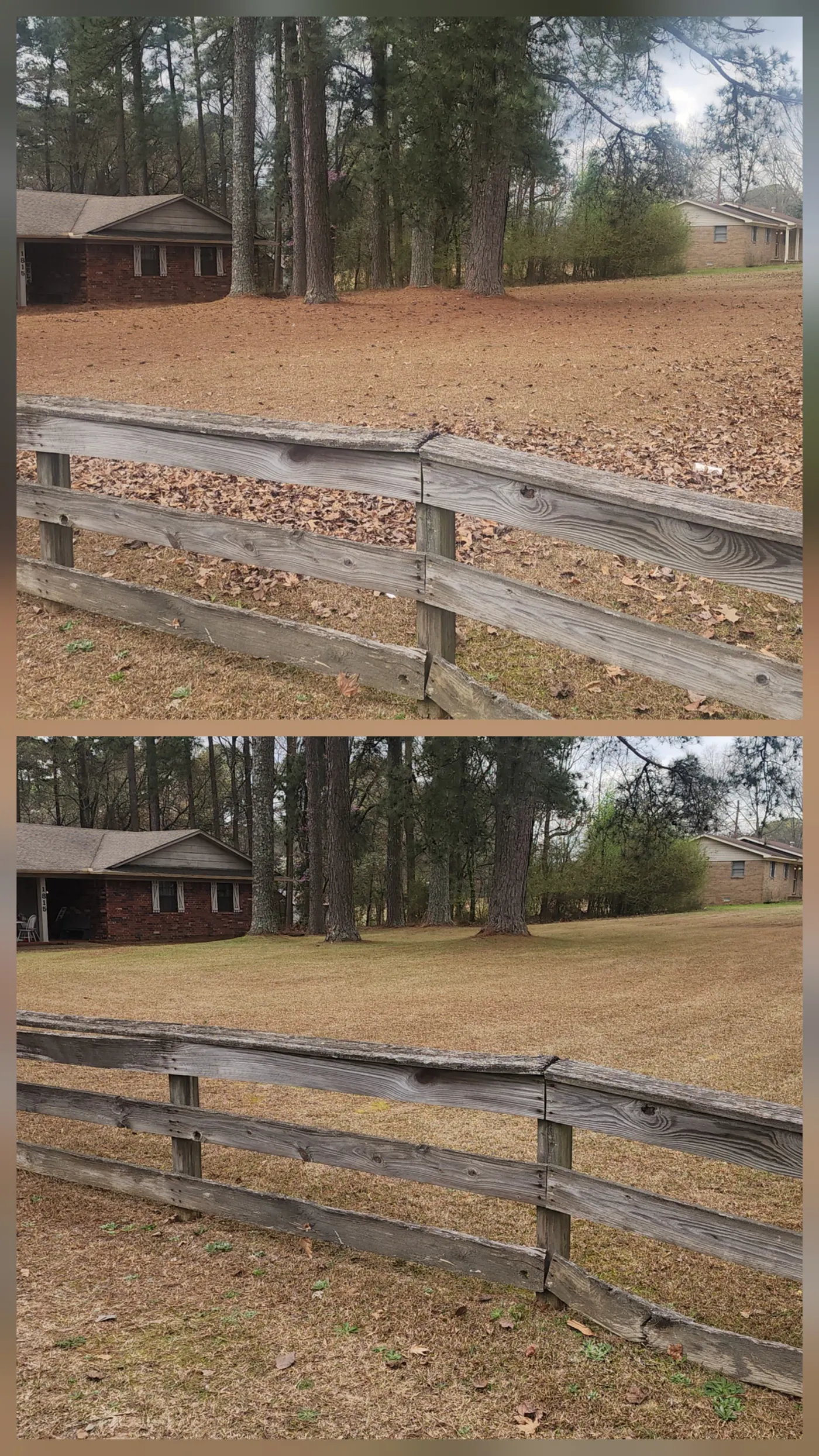Before and after lawn care project