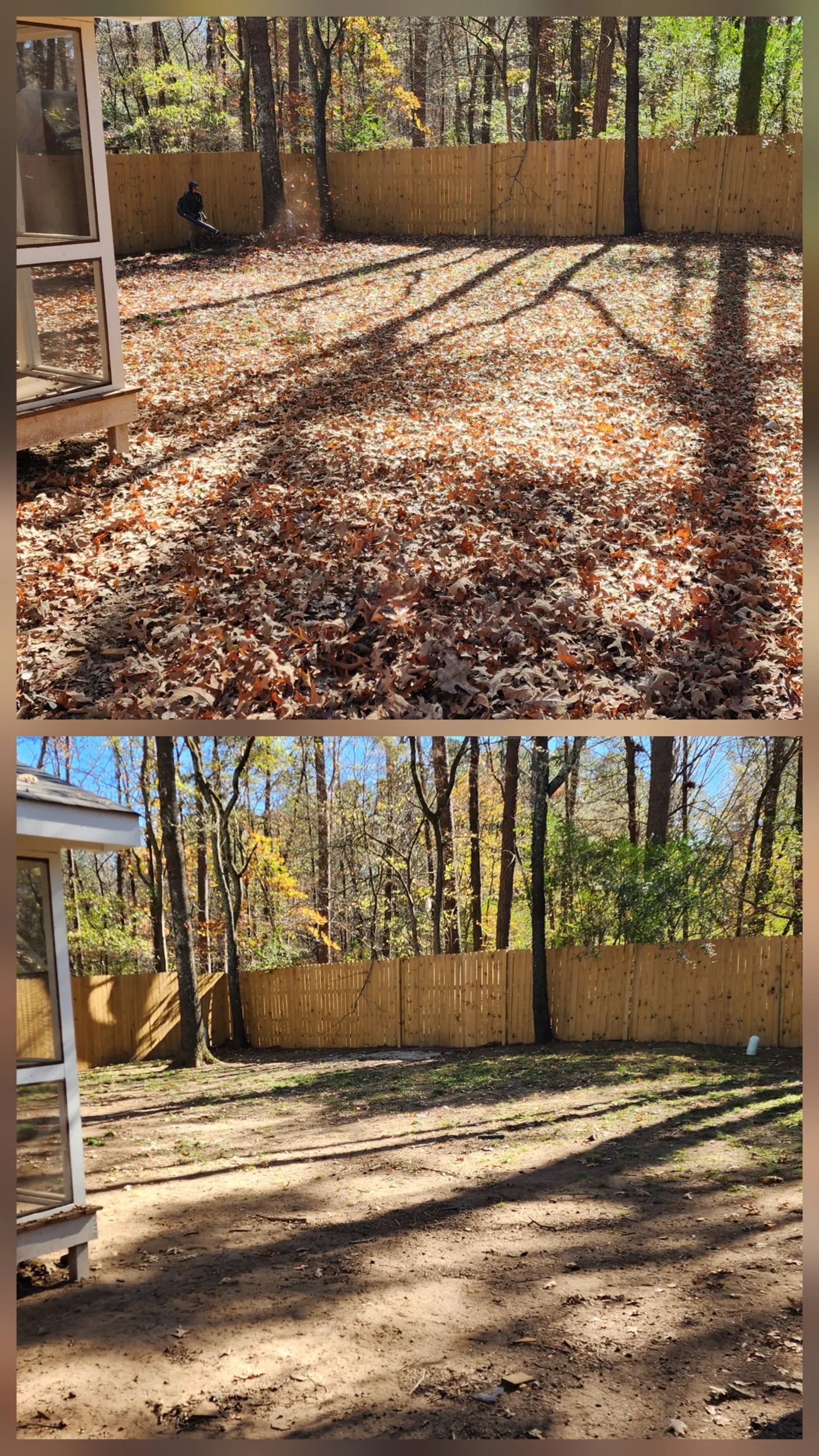 Before and after lawn care project