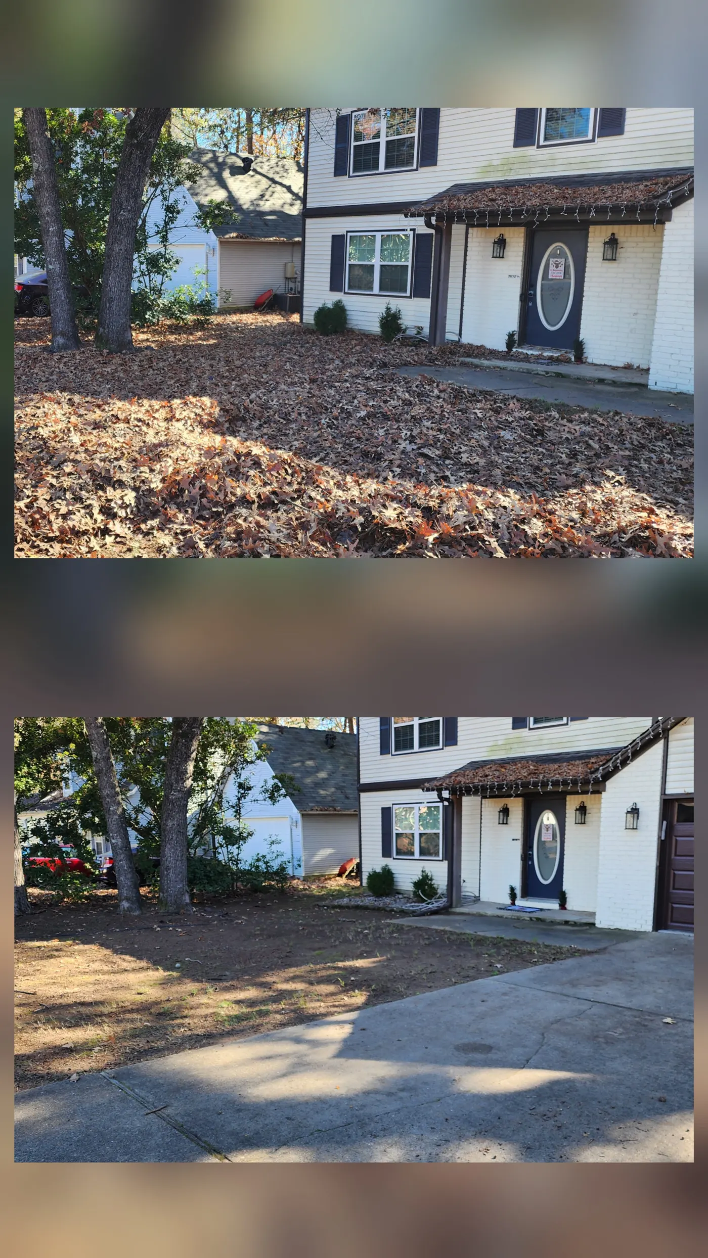 Before and after lawn care project