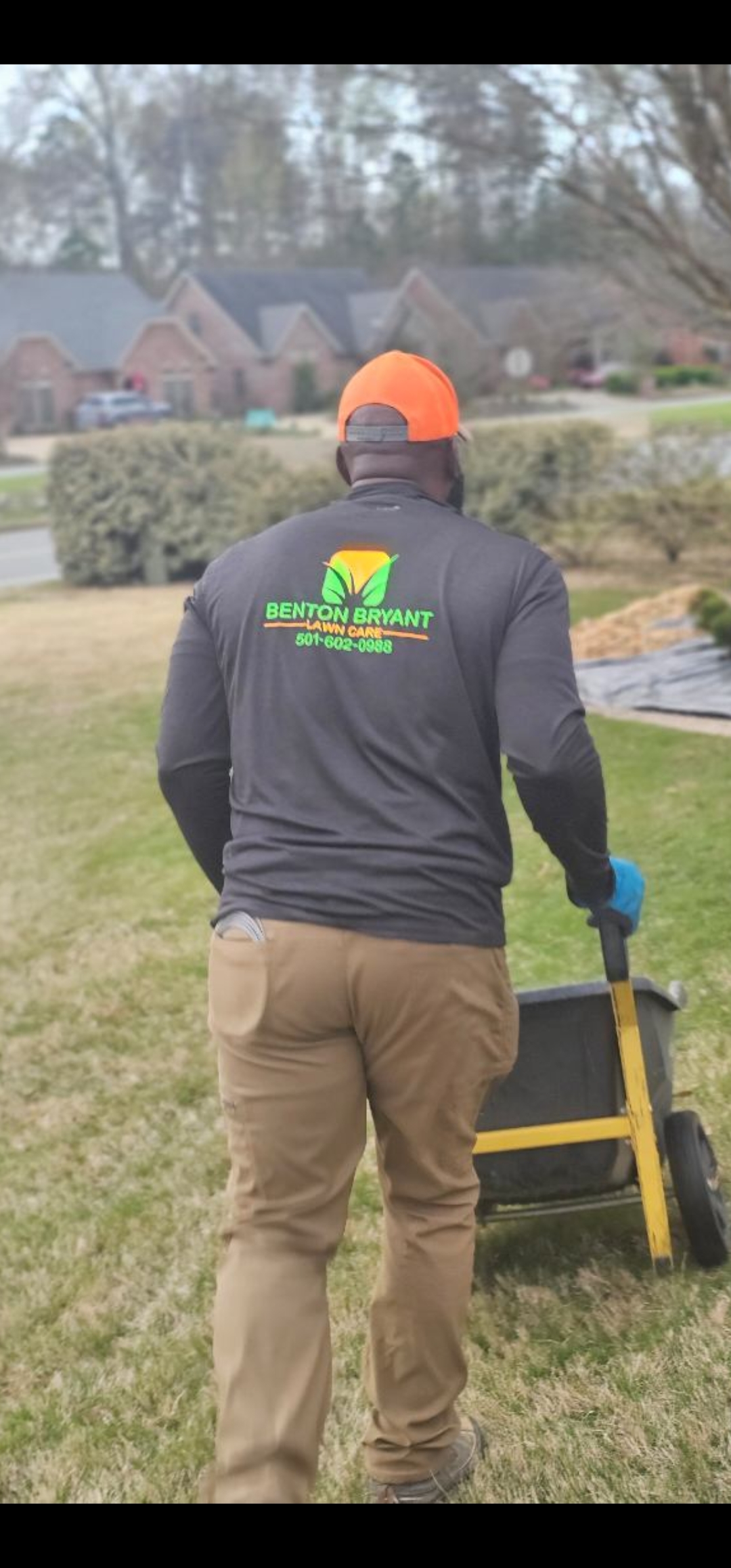 Shrub Trimming service